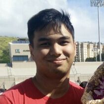 Picture